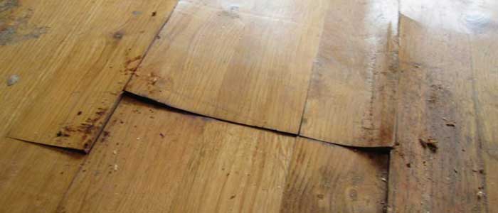 How to Restore Your Hardwood Floor – Part 1